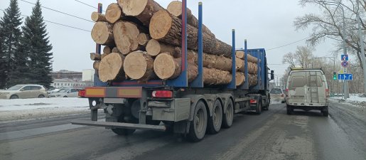 Поиск транспорта для перевозки леса, бревен и кругляка стоимость услуг и где заказать - Улан-Удэ